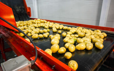 Szállítószalag görgők: a tönkrement alkatrészek sokkal költségesebb károkat is eredményezhetnek!