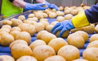 Szállítószalag szervizünk segíti a hibák felismerését és javítását